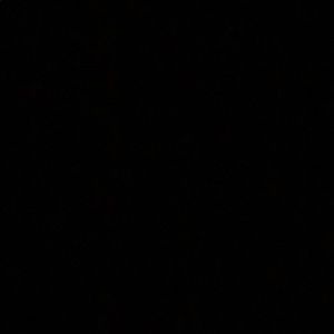 Meet your Posher, Karysma